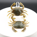 1.3-inch crab lure with two speckled green crabs on clear holder
