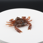 1.3 in plastic crab lure, dark brown body with orange claws and glitter speckles