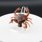 1.3 in plastic crab lure on clear stand, orange-brown body with glitter spots